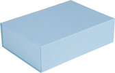 Magneetdozen 35x25x10cm Lichtblauw (25 st.)