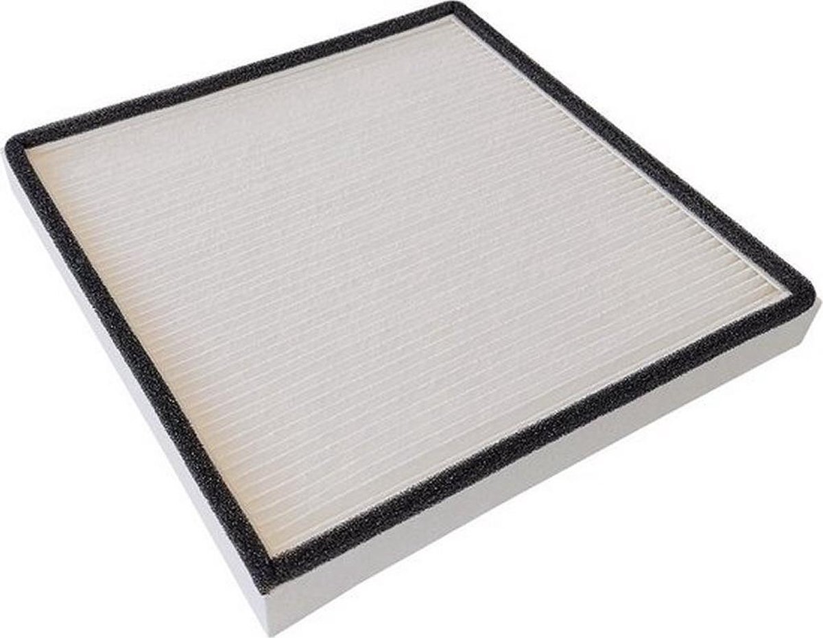 Boneco AH300 Pollen filter Hybrid H300 / H400