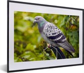 Un pigeon sauvage coloré parmi les feuilles vertes