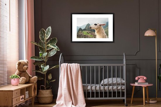 Photo dans le cadre - Lama Witte avec des taches noires Cadre photo noir avec passe partout blanc 60x90 90x60 cm - Affiche dans le cadre (Décoration murale salon / chambre)