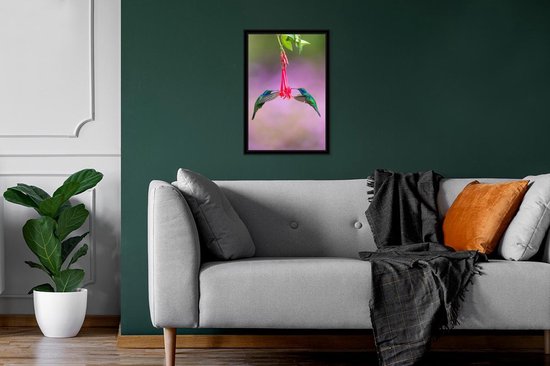 Fotolijst incl. Poster - Vogel - Kolibrie - Blauw - Rood - 20x30 cm - Posterlijst