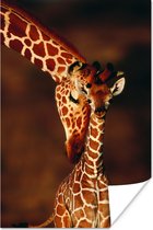 Volwassen giraffe met jong poster papier 80x120 cm - Foto print op Poster (wanddecoratie woonkamer / slaapkamer) / Wilde dieren Poster