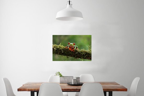 Poster Grenouille aux yeux rouges sur une branche couverte - 60x40 cm