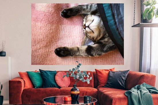 Chat qui dort sur un tapis 180x120 cm XXL / Groot format!