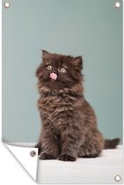 Muurdecoratie Perzisch kitten steek tong uit - 120x180 cm - Tuinposter - Tuindoek - Buitenposter