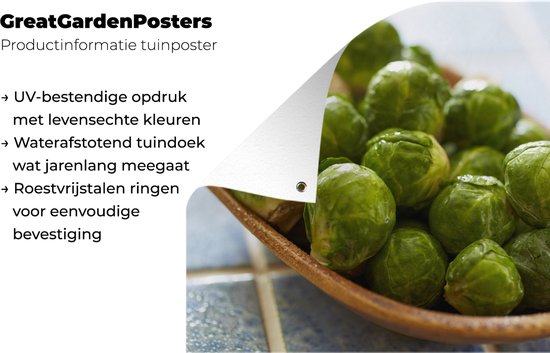 Affiche de jardin Choux de Bruxelles dans un bol en vrac 120x80 cm - Toile de jardin / Toile d'extérieur / Peintures pour l'extérieur (décoration de jardin)