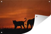 Muurdecoratie Silhouetten van twee leeuwen - 180x120 cm - Tuinposter - Tuindoek - Buitenposter