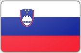 Vlag Slovenië - 70 x 100 cm - Polyester