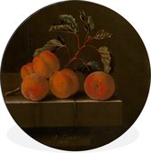Nature morte aux cinq abricots - peinture d'Adriaen Coorte en découpe carrée. Cercle mural en aluminium