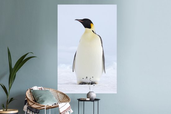 Sticker Muursticker Pingouins - Tirage photo Manchot empereur - 80x120 cm - Feuille adhésive autocollante - Sticker mural repositionnable