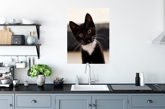 Stickers muraux - Sticker Foil - Un gros plan d'un chaton noir et blanc - 60x80 cm - Adhésif Foil - Stickers muraux Chambre d'Enfant - Papier Peint Auto Adhésif