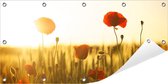 Affiche de jardin Coquelicots 100 x 50 cm incl. Anneaux en métal - (Affiche d'extérieur - Toile de jardin - Toile d'extérieur - Peintures' extérieur - Décoration de jardin)