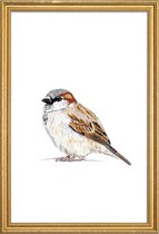 JUNIQE - Poster met houten lijst Spatz -40x60 /Bruin & Wit