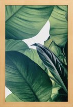 JUNIQE - Poster in houten lijst Light Shines Through -40x60 /Groen