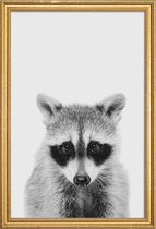 JUNIQE - Poster met houten lijst Raccoon Classic -40x60 /Wit & Zwart