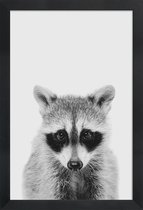 JUNIQE - Poster in houten lijst Raccoon Classic -30x45 /Wit & Zwart