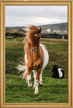 JUNIQE - Poster in houten lijst Shetland Pony's -40x60 /Bruin & Groen