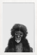 JUNIQE - Poster in houten lijst Bonobo Classic -40x60 /Wit & Zwart