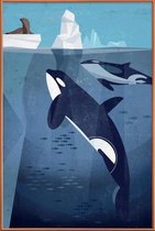 JUNIQE - Poster met kunststof lijst Vintage orka -30x45 /Blauw