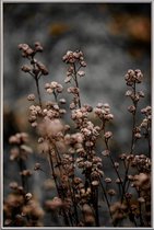 JUNIQE - Poster met kunststof lijst Unknown 5 -40x60 /Bruin