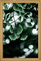 JUNIQE - Poster met houten lijst Ginko -30x45 /Kleurrijk