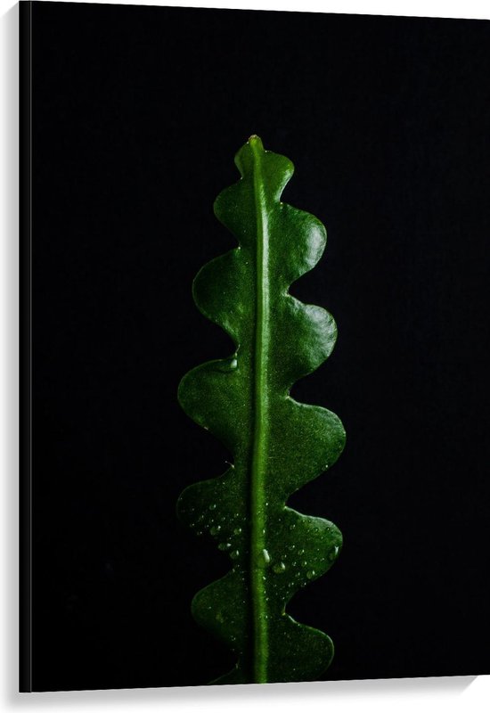 Canvas  - Groene Plant met Zwarte Achtergrond - 80x120cm Foto op Canvas Schilderij (Wanddecoratie op Canvas)