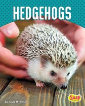 Cute and Unusual Pets - Hedgehogs