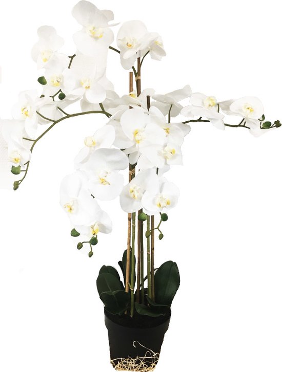 Grote Levensechte Kunst Orchidee / Phlaenopsis plant 100 cm met pot ( 5-taks vol bloemen) kleur Wit - Kunstplant