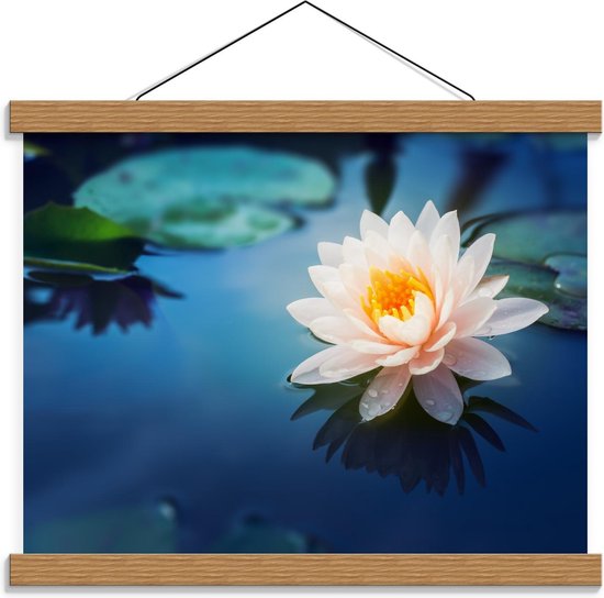 Schoolplaat – Bloeiende Lotus Bloem - 40x30cm Foto op Textielposter (Wanddecoratie op Schoolplaat)
