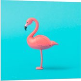 Forex - Roze Flamingobeeld op Blauwe Achtergrond - 80x80cm Foto op Forex