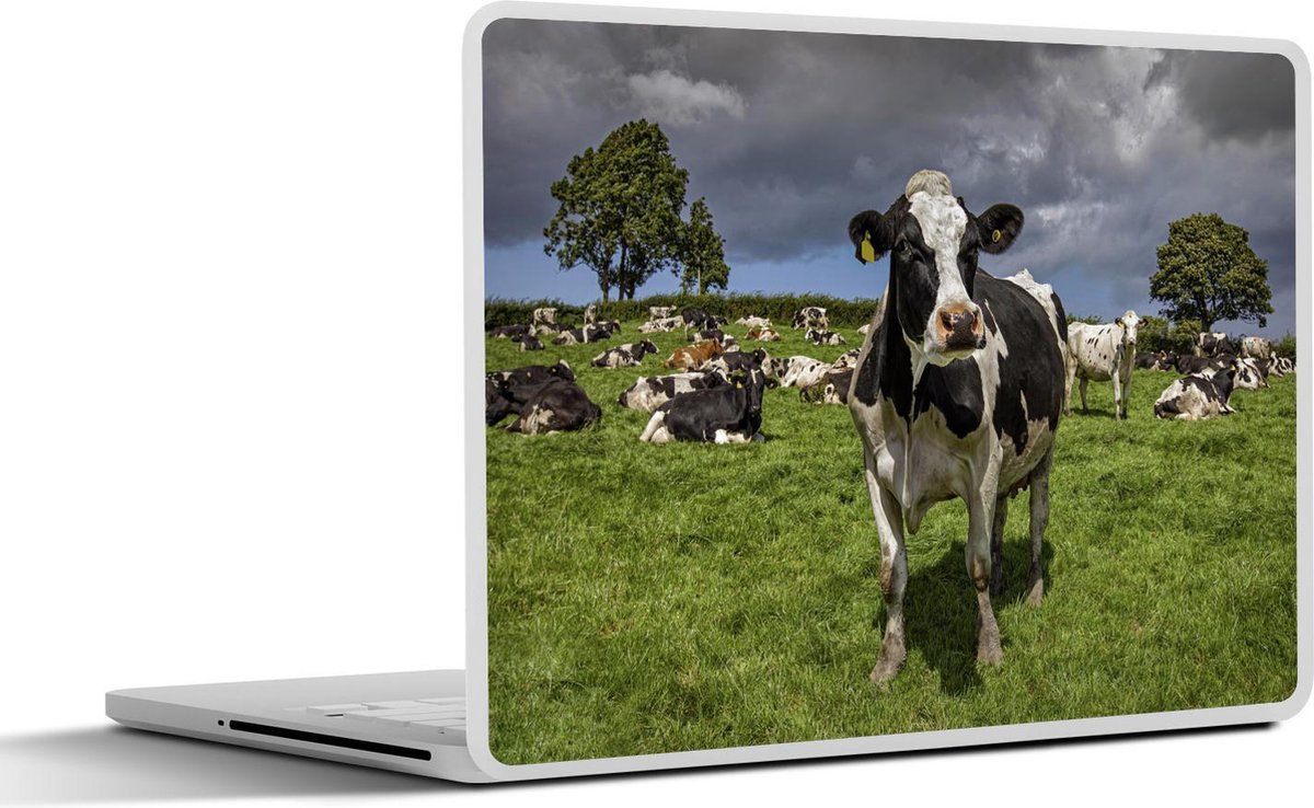 Laptop sticker - 17.3 inch - Koeien - Dieren - Fries - 40x30cm - Laptopstickers - Laptop skin - Cover