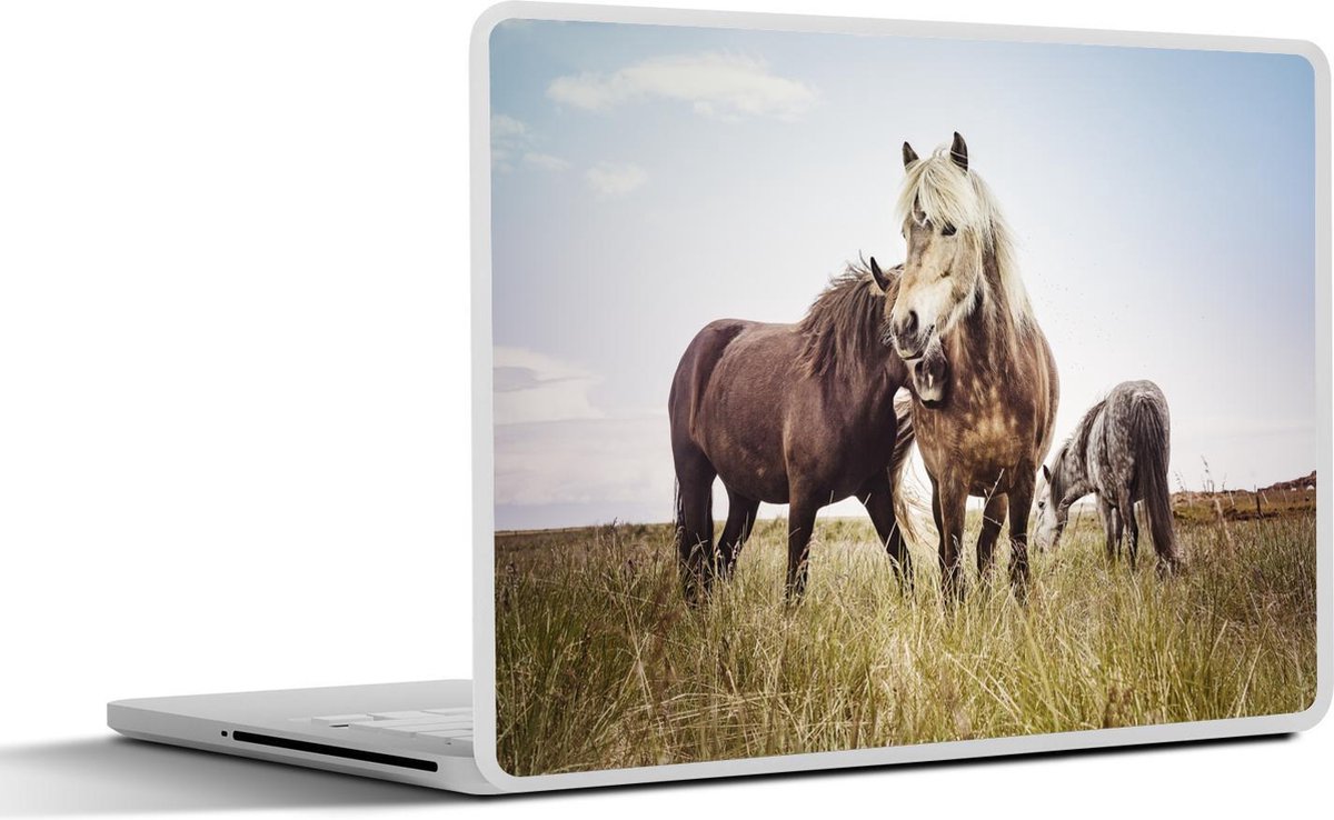 Afbeelding van product SleevesAndCases  Laptop sticker - 12.3 inch - Paarden - Gras - Lente