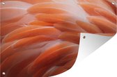 Muurdecoratie Veren structuur van een flamingo - 180x120 cm - Tuinposter - Tuindoek - Buitenposter