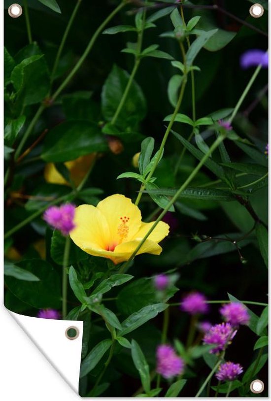 Tuinposter 120x180 cm - Tuindecoratie Teunis bloem tussen de groene planten - Poster voor in de tuin - Buiten decoratie - Schutting tuinschilderij - Tuindoek muurdecoratie - Wanddecoratie balkondoek
