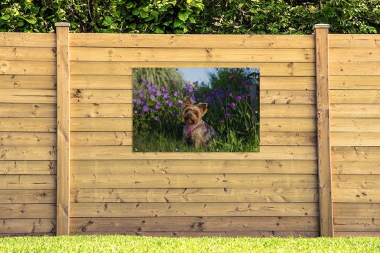 Yorkshire parmi les fleurs affiche de jardin toile en vrac 120x80 cm - Toile de jardin / Toile d'extérieur / Peintures pour l'extérieur (décoration de jardin)