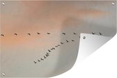 Tuindecoratie Zwerm van kraanvogels - 60x40 cm - Tuinposter - Tuindoek - Buitenposter