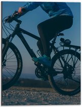 Dibond - Vrouw op Mountainbike  - 30x40cm Foto op Aluminium (Met Ophangsysteem)
