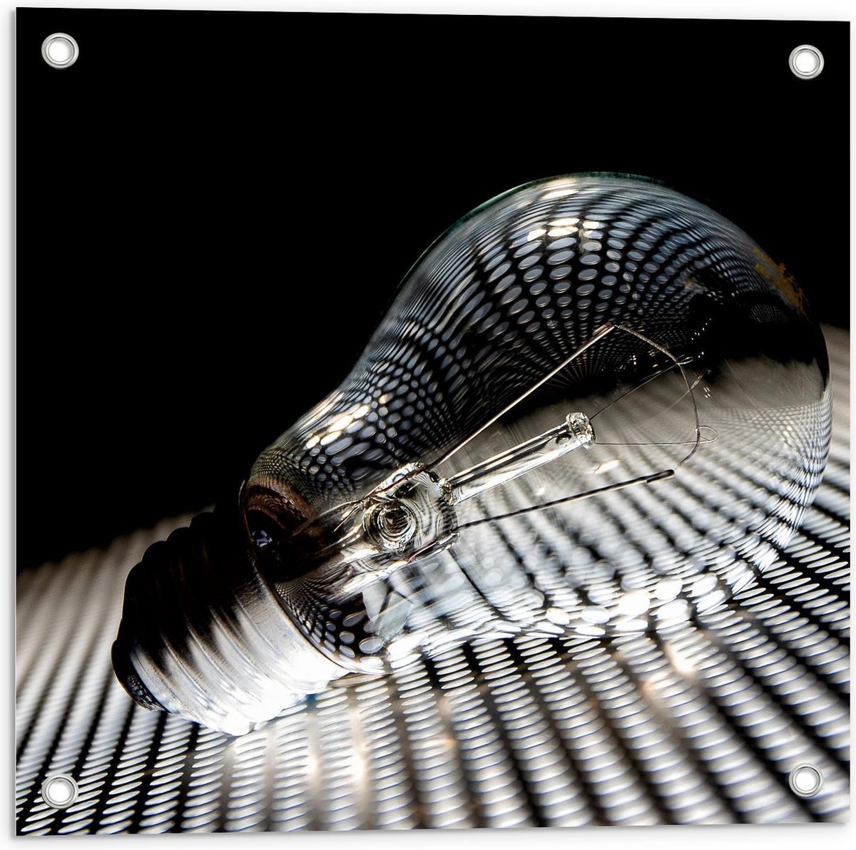 Tuinposter – Gloeilamp op Rooster - 50x50cm Foto op Tuinposter (wanddecoratie voor buiten