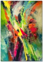 Schilderij  , Abstracte vogel vormen , 3 maten , Multikleur , wanddecoratie , Premium print