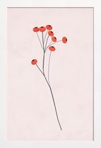JUNIQE - Poster met houten lijst Winter Fruits -13x18 /Rood & Zwart