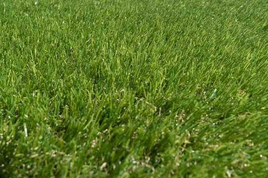 Kunstgras 2 x 4 meter - 30mm ✅ Nederlandse Productie - Uitgeroepen zachtste Grastapijt ✅ Waterdoorlatend | Tuin | Kind | Dier