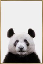 JUNIQE - Poster met kunststof lijst Panda -40x60 /Wit & Zwart