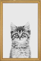 JUNIQE - Poster met houten lijst Kitten Classic -20x30 /Wit & Zwart