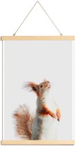 JUNIQE - Posterhanger Red Squirrel II -60x90 /Grijs & Oranje