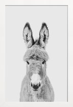 JUNIQE - Poster in houten lijst Donkey Classic -30x45 /Wit & Zwart