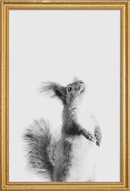 JUNIQE - Poster met houten lijst Red Squirrel III -30x45 /Grijs