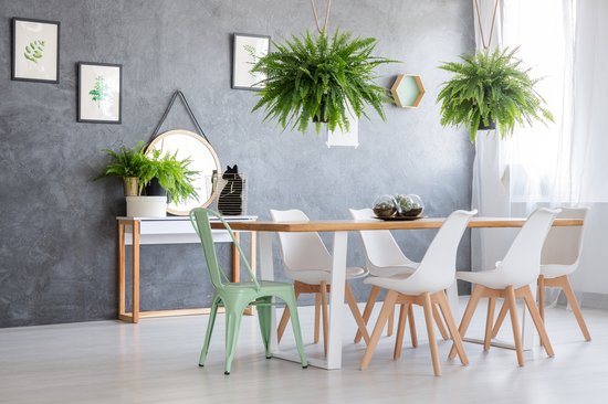 Eetkamer met grijze muren, planten en witte stoelen aan een houten tafel.