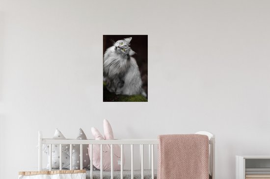 Muurstickers - Sticker Folie - Wit met grijze Maine Coon kat - 20x30 cm - Plakfolie - Muurstickers Kinderkamer - Zelfklevend Behang - Zelfklevend behangpapier - Stickerfolie