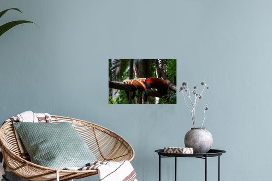 Sticker Muursticker Pandas rouges - Pandas rouges reçus - 30x20 cm - feuille autocollante - sticker mural repositionnable