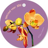 Tallies Cards - kadokaartjes  - bloemenkaartjes - Speciaal voor jou - Flowerpower - set van 5 kaarten - valentijnskaart - valentijn  - moeder - mama - liefde - 100% Duurzaam